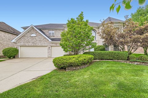 830 W Lukas Avenue Palatine IL 60067