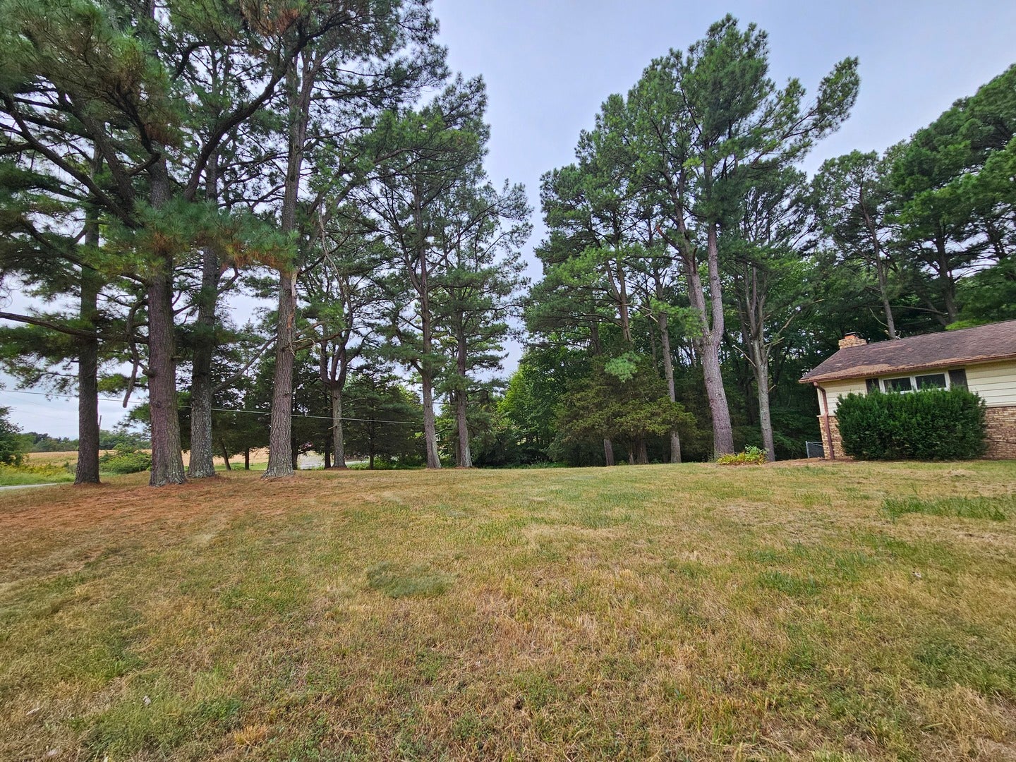 19346 Galatia Post Road