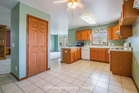 Tiny photo for 13014 E State Route 114, Momence, IL 60954 (MLS # 12599506)