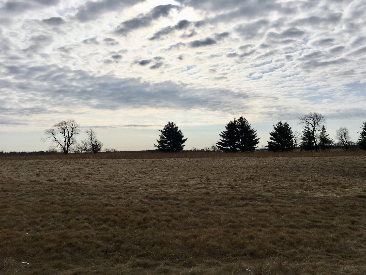 Lot #60 E LONGWOOD Drive