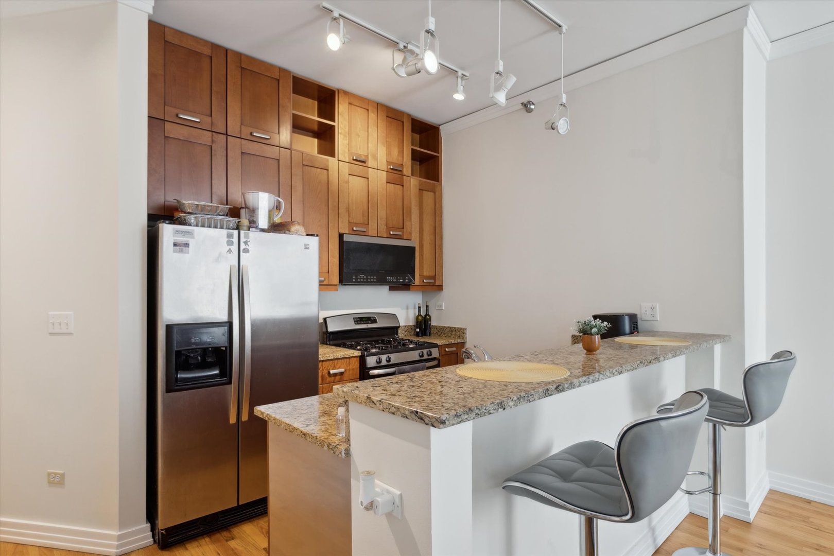 170 W POLK Street 1007