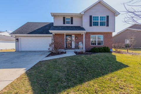 Tiny photo for 2615 E Girot Lane, Diamond, IL 60416 (MLS # 12589022)