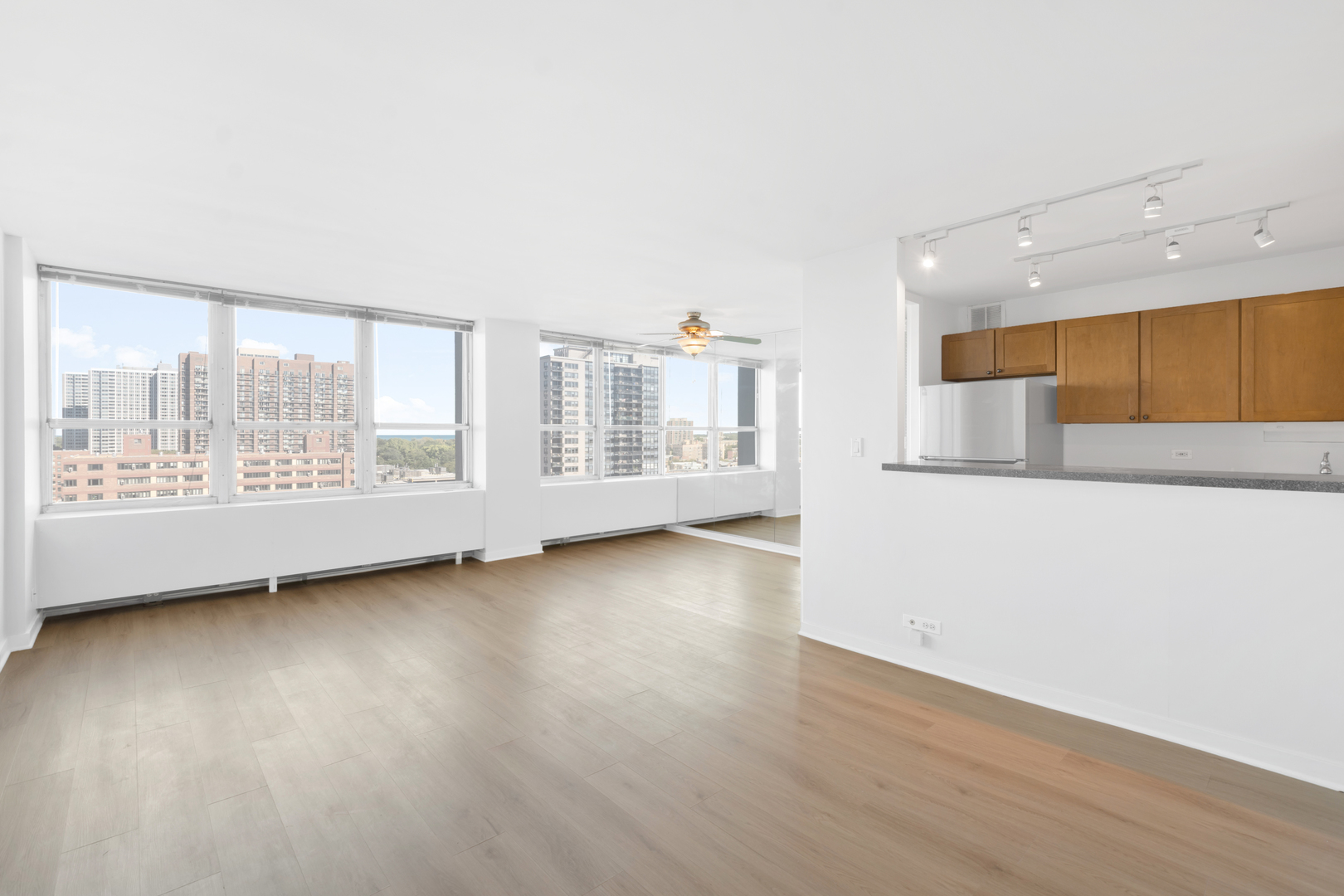 655 W Irving Park Road 1114