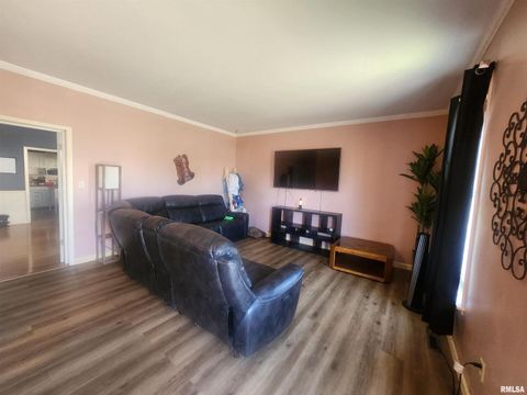 Tiny photo for 307 S MAIN Street, Pinckneyville, IL 62274 (MLS # EB460279)