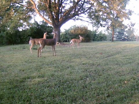 Tiny photo for 11116 Seeman Road, Huntley, IL 60142 (MLS # 12530620)