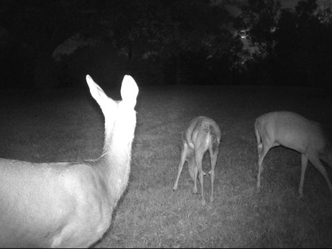 Tiny photo for 11116 Seeman Road, Huntley, IL 60142 (MLS # 12530620)