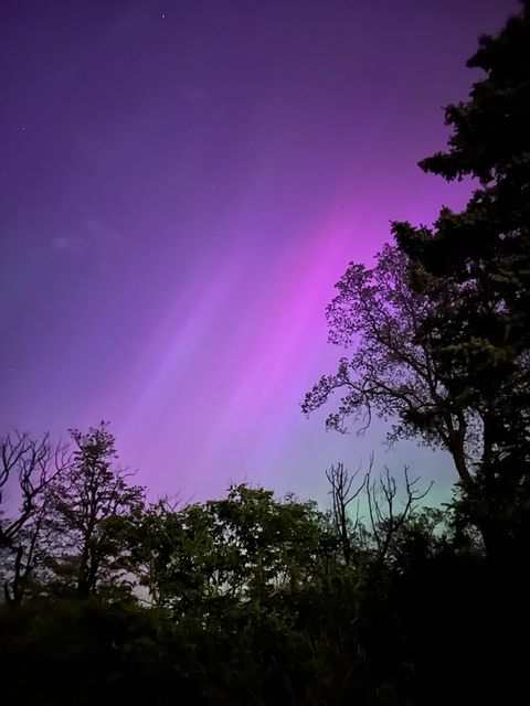 Tiny photo for 34 Logan Loop, Highland Park, IL 60035 (MLS # 12482072)