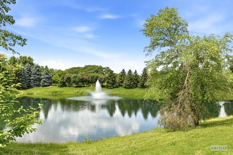 Tiny photo for 233 Willington Way, Oswego, IL 60543 (MLS # 12745106)