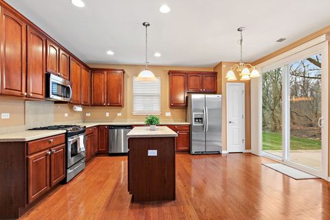 Tiny photo for 12939 Mesa Street, Huntley, IL 60142 (MLS # 12603619)