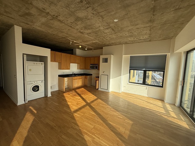 1122 W Catalpa Street 805