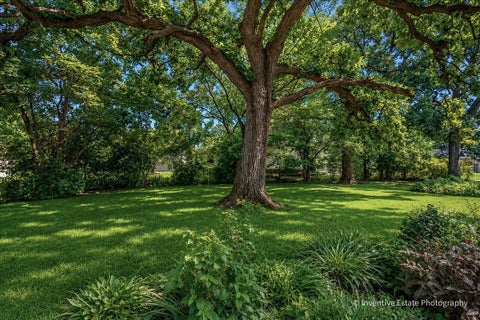 Tiny photo for 26 E 157th Street, South Holland, IL 60473 (MLS # 12744030)