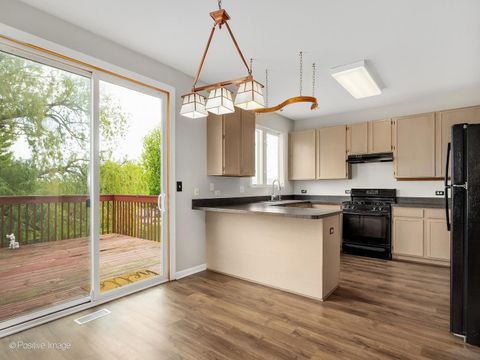 Tiny photo for Elgin, IL 60124 (MLS # 12634428)
