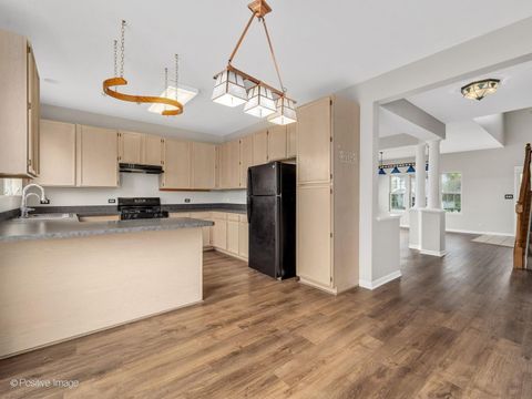 Tiny photo for Elgin, IL 60124 (MLS # 12634428)