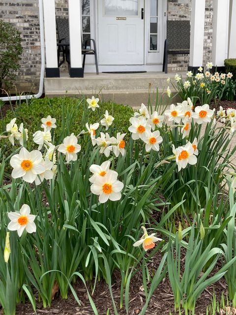 Tiny photo for 302 Chateau Drive, Buffalo Grove, IL 60089 (MLS # 12593870)