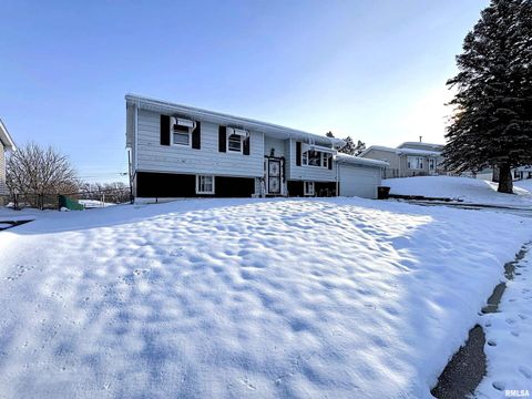 Tiny photo for 8119 10TH Street W, Rock Island, IL 61201 (MLS # QC4269960)