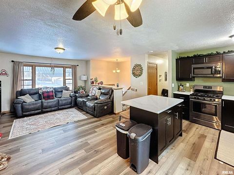 Tiny photo for 8119 10TH Street W, Rock Island, IL 61201 (MLS # QC4269960)