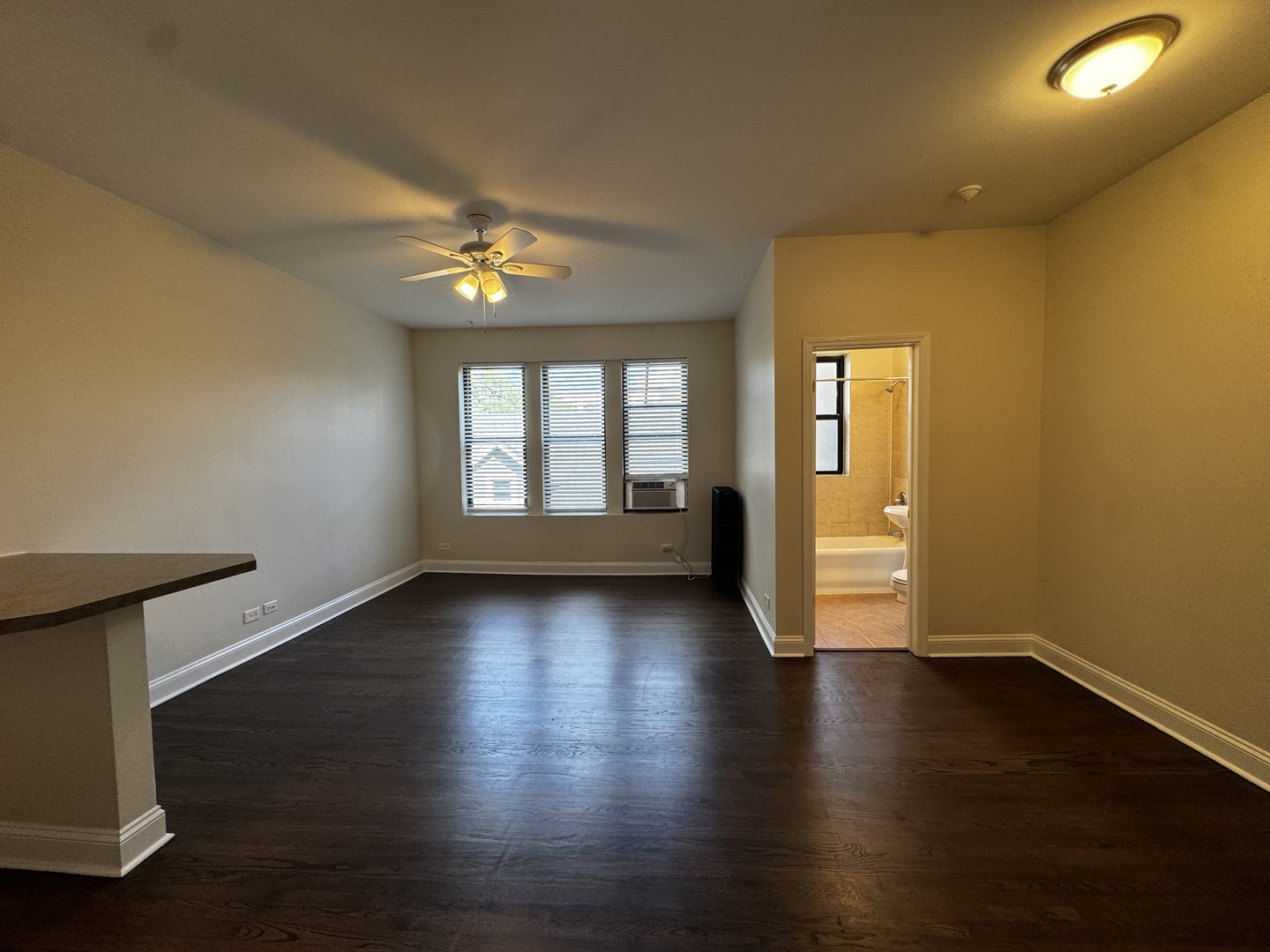 1344 W Lunt Avenue 209