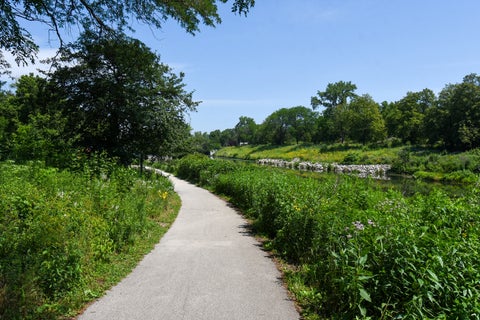 Tiny photo for 3104 W Argyle Street #1, Chicago, IL 60625 (MLS # 12717700)