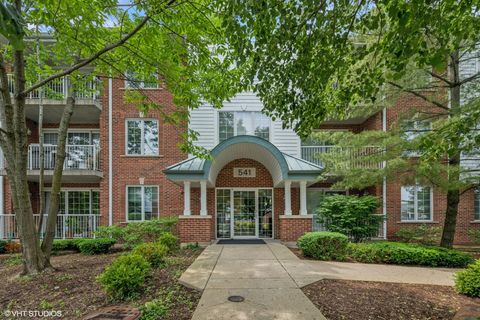 541 N Hough Street 205 Barrington IL 60010