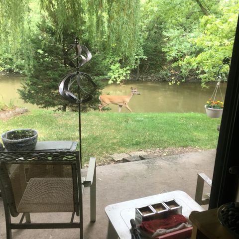 Tiny photo for 1S055 Spring Road #1C, Oakbrook Terrace, IL 60181 (MLS # 12591552)