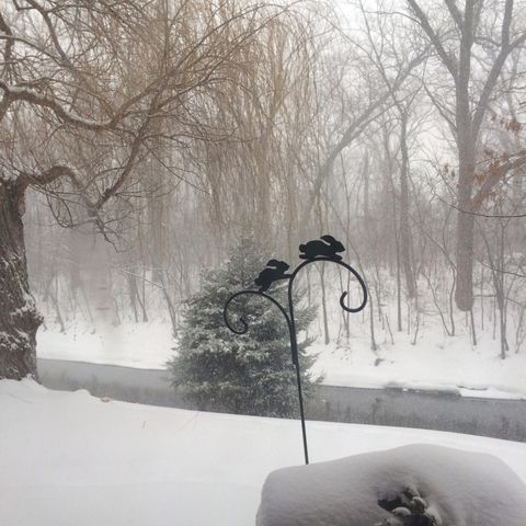 Tiny photo for 1S055 Spring Road #1C, Oakbrook Terrace, IL 60181 (MLS # 12591552)