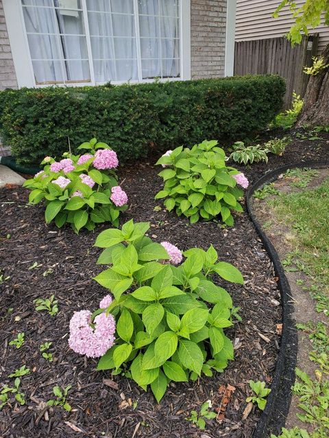 Tiny photo for 1080 Scarlet Oak Circle, Aurora, IL 60506 (MLS # 12581470)