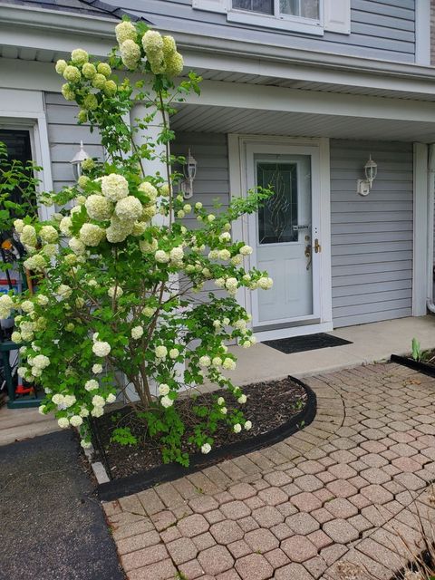 Tiny photo for 1080 Scarlet Oak Circle, Aurora, IL 60506 (MLS # 12581470)