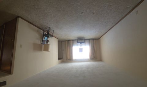 Tiny photo for 501 S First Street, Fisher, IL 61843 (MLS # 12571380)