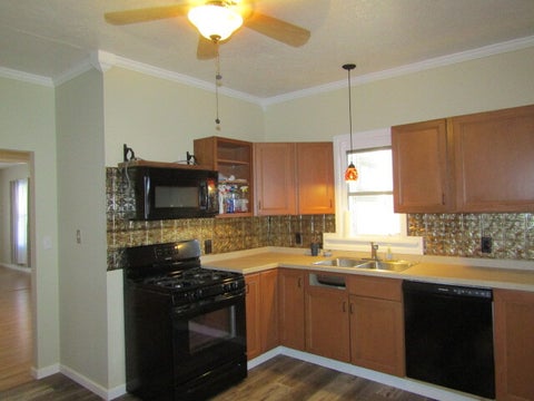 Tiny photo for 111 N Columbus Street, Golconda, IL 62938 (MLS # 12725992)