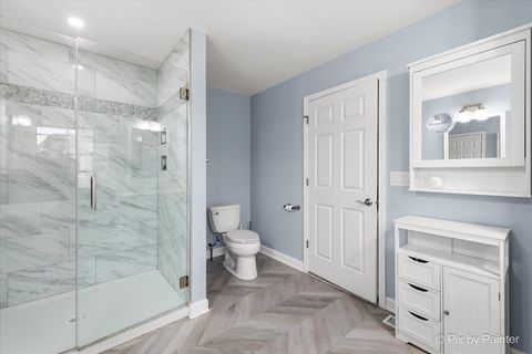 Tiny photo for 26428 Rustling Birch Way, Plainfield, IL 60585 (MLS # 12574799)