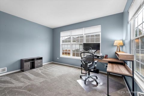 Tiny photo for 26428 Rustling Birch Way, Plainfield, IL 60585 (MLS # 12574799)