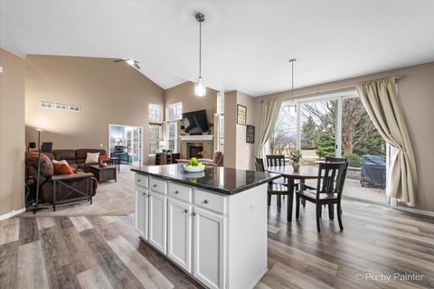 Tiny photo for 26428 Rustling Birch Way, Plainfield, IL 60585 (MLS # 12574799)