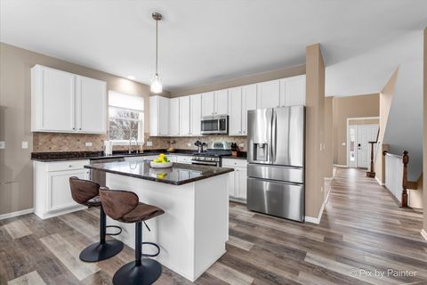 Tiny photo for 26428 Rustling Birch Way, Plainfield, IL 60585 (MLS # 12574799)