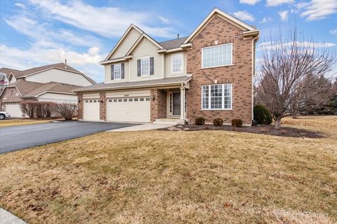 Photo of 26428 Rustling Birch Way, Plainfield, IL 60585 (MLS # 12574799)