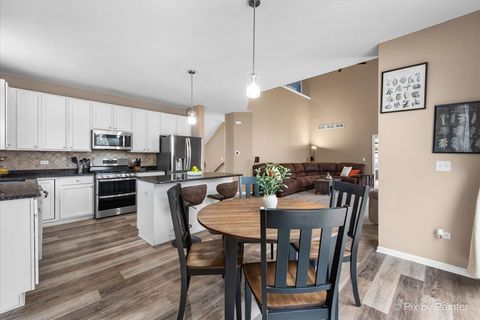 Tiny photo for 26428 Rustling Birch Way, Plainfield, IL 60585 (MLS # 12574799)