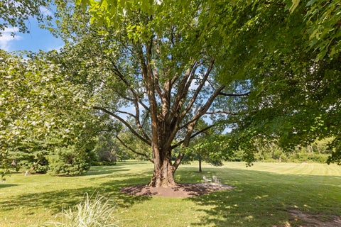 Tiny photo for 1N955 Saddlewood Drive, Maple Park, IL 60151 (MLS # 12754812)