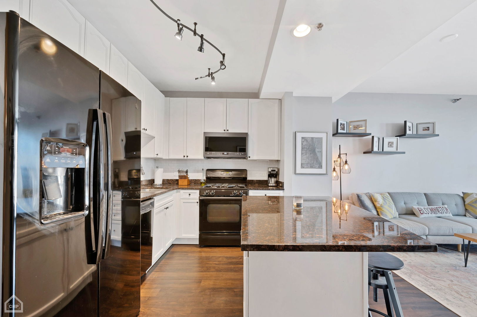 1250 S Michigan Avenue 1207