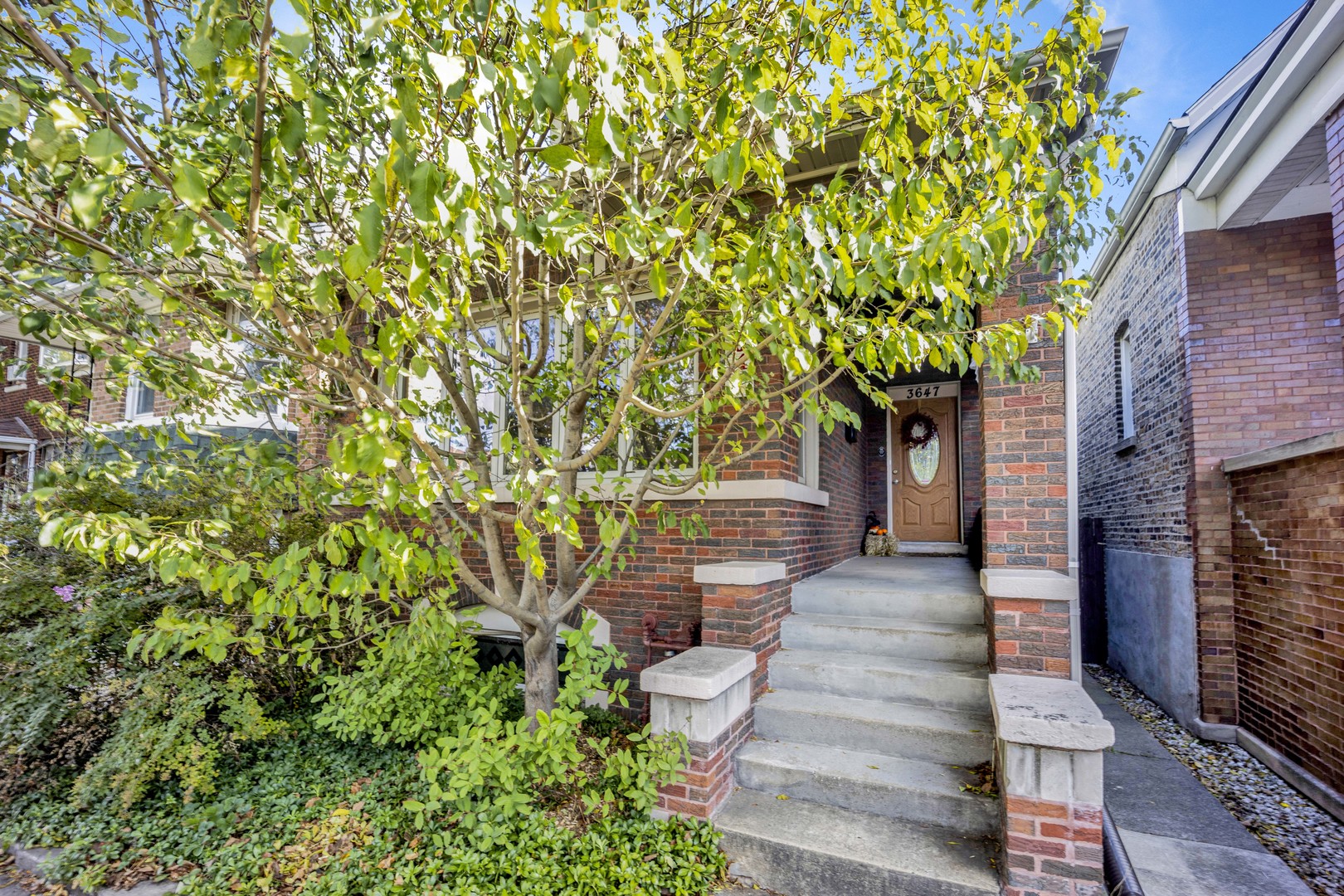 3647 S Damen Avenue