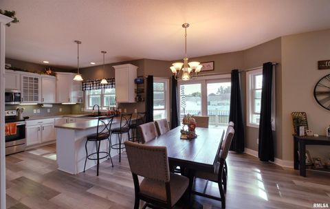 Tiny photo for 1917 11TH Street, Camanche, IA 52730 (MLS # QC4267784)