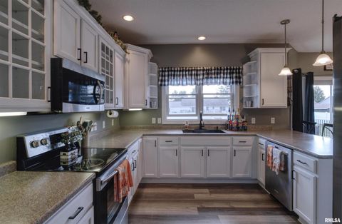 Tiny photo for 1917 11TH Street, Camanche, IA 52730 (MLS # QC4267784)