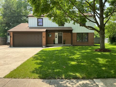 4532 Waubansie Lane Lisle IL 60532