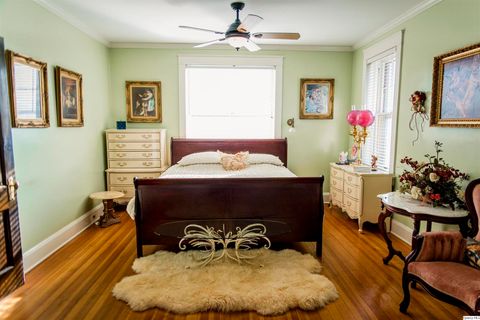 Tiny photo for 336 S 24th St, Quincy, IL 62301 (MLS # 12591705)