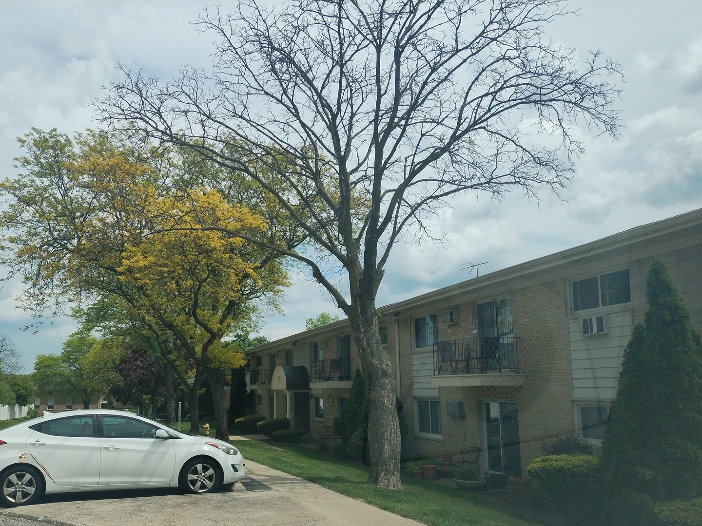 551 Carlysle Drive 2