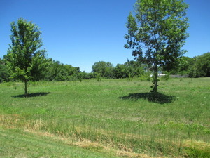 23787 W Reindeer Trail
