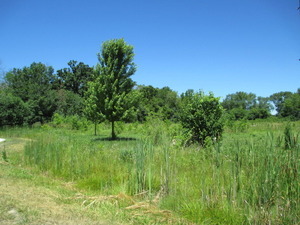 23787 W Reindeer Trail
