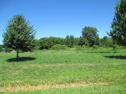 23787 W Reindeer Trail Lake Villa IL 60046