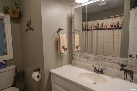 Tiny photo for 615 3RD Avenue, De Witt, IA 52742 (MLS # QC4269067)