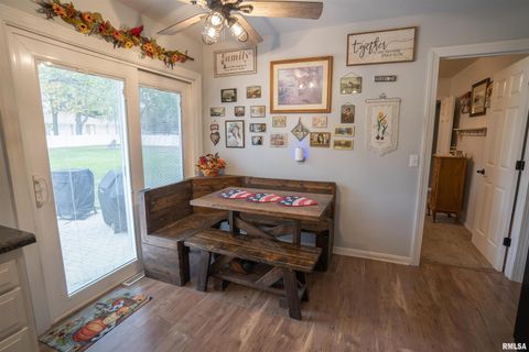 Tiny photo for 615 3RD Avenue, De Witt, IA 52742 (MLS # QC4269067)