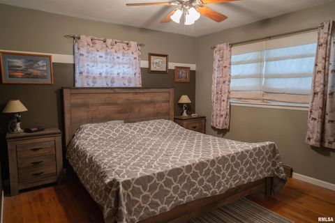 Tiny photo for 615 3RD Avenue, De Witt, IA 52742 (MLS # QC4269067)