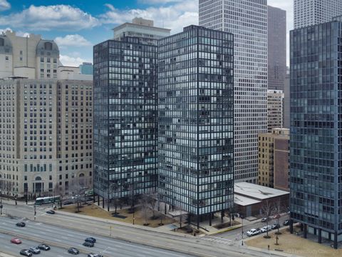 880 N Lake Shore Drive 25EF Chicago IL 60611